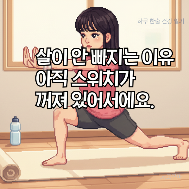 스위치온 다이어트 뜻, 성공법 11월부터 시작 어때요?