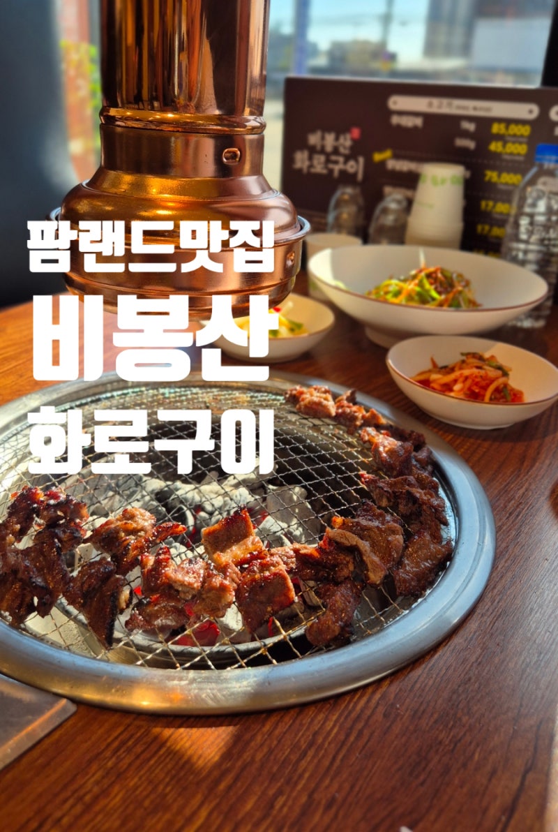 안성 팜랜드맛집 비봉산화로구이 공도점/점심 특선 갈비살 구이 된장찌개 정식 후기