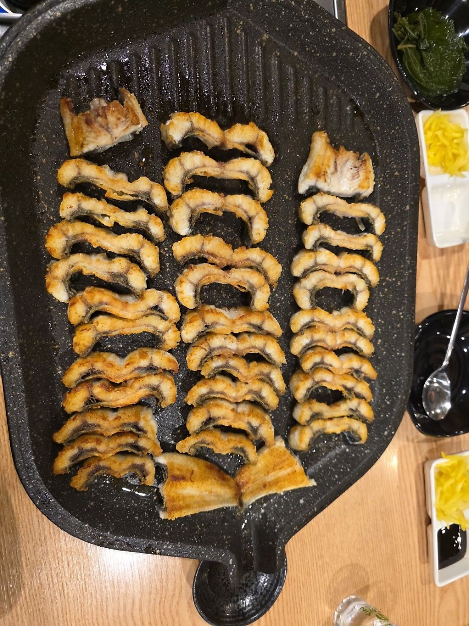 오장어 사진 4