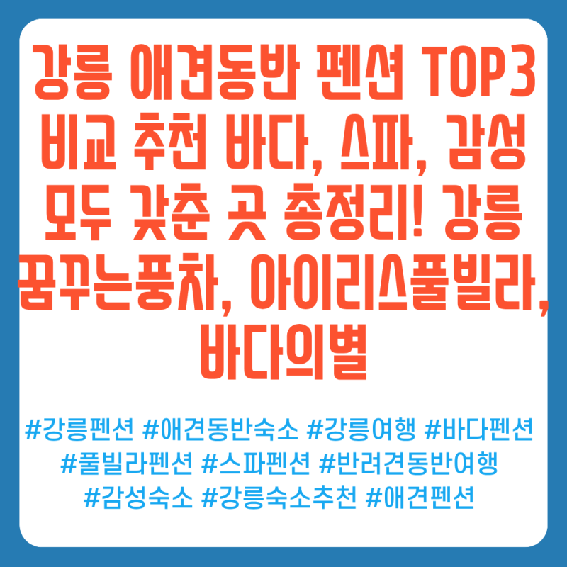 사진 8