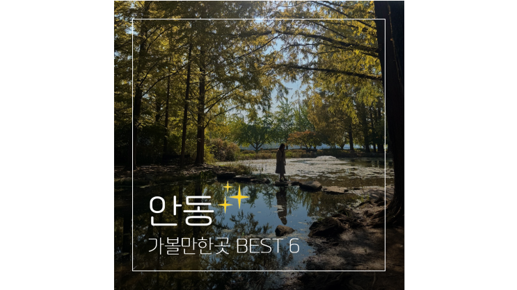  안동 낙강물길공원 월영교 찜닭골목 경북 안동 가볼만한곳 BEST 6