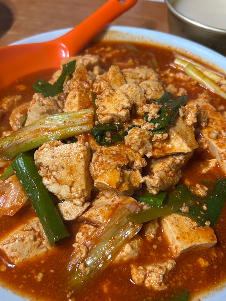  <대전 대흥동 맛집> 대전 중앙로역 맛집 두부두루치기 진로집