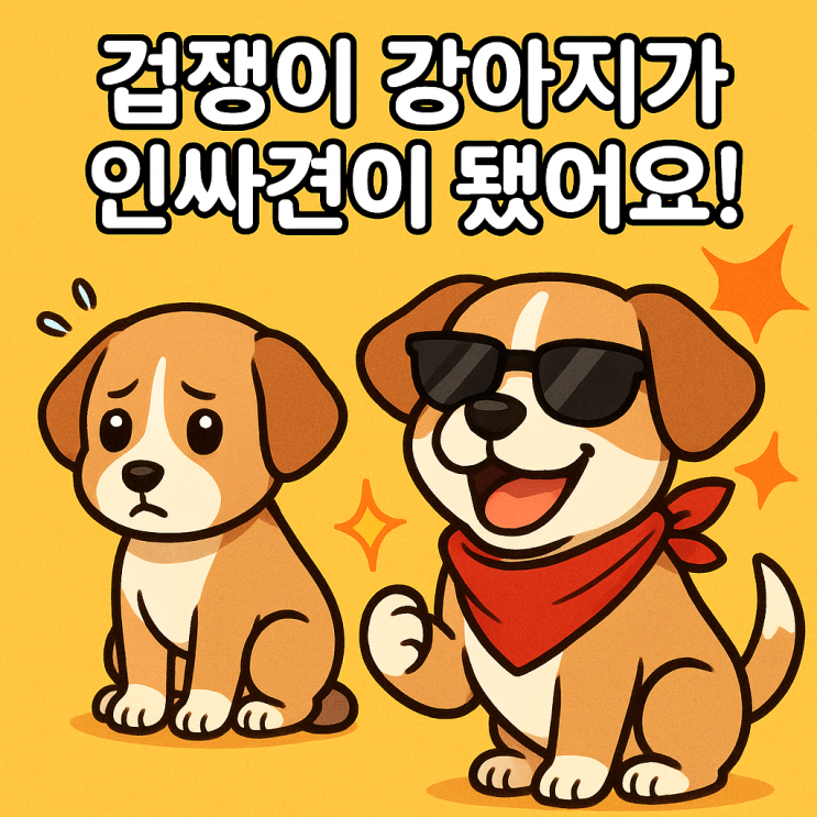   강아지 사교성 높이는 훈련법 | 낯가림 없는 사회화 완전 정복!