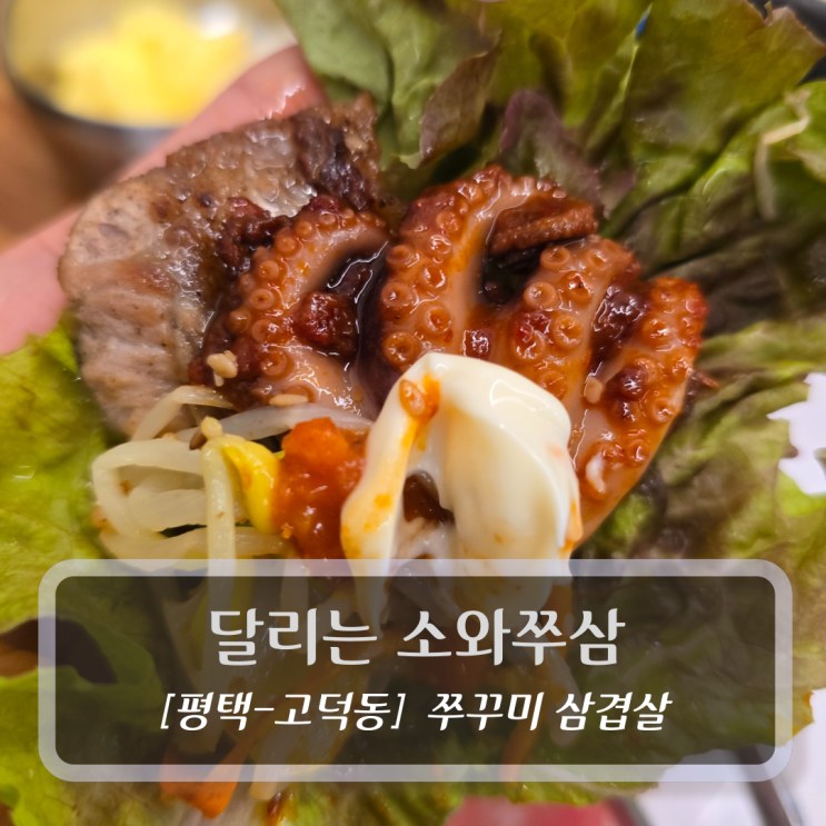  평택 서정리역 쭈꾸미맛집 :: 달리는 소와쭈삼 - 커플세트 후기