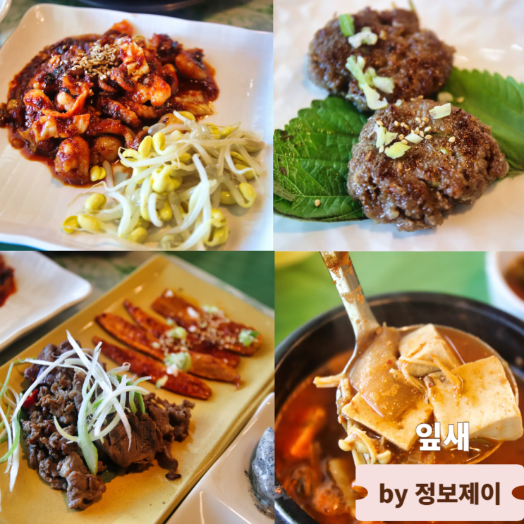  일산 애니골 맛집 건강한 한정식 쌈밥집 잎새