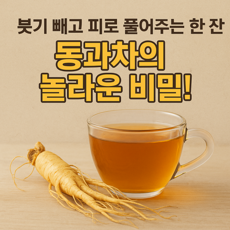   붓기와 피로를 한 잔으로! 동과차 만들기 & 효능 완전 정리