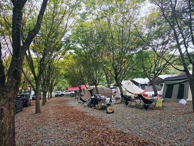 사진 2