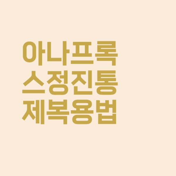  아나프록스정 진통제 하루에 몇 번 복용하나요?