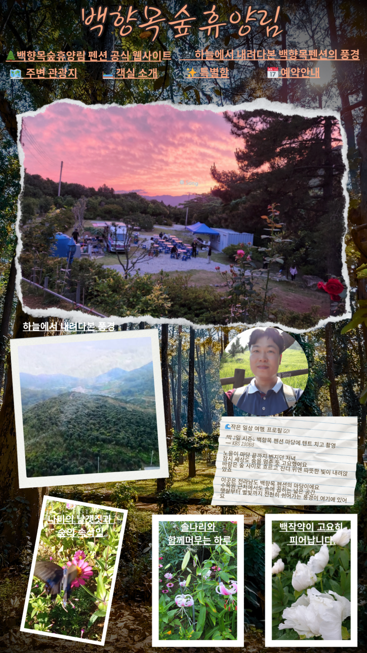  완도펜션 백향목숲휴양림   ️  자연 속 힐링 스토리