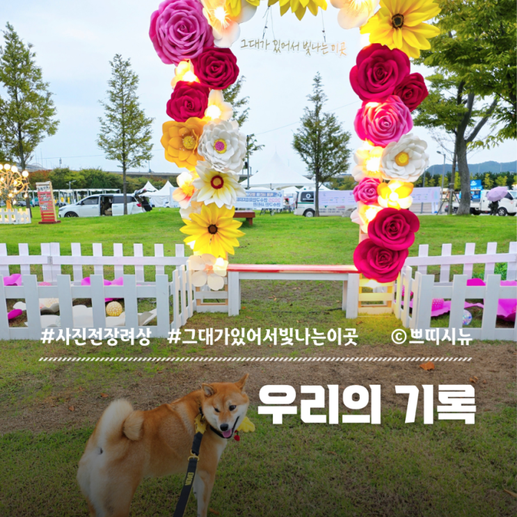  "그대가 있어서 빛나는 이곳" 2025 능허대문화축제 사진전 장려상 수상 스토리