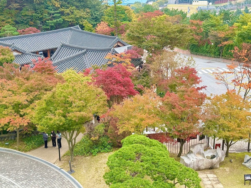 사진 3