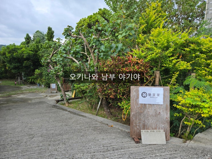  일본 오키나와 남부 맛집 유형문화재 등록 고민가 식당 야기야~~