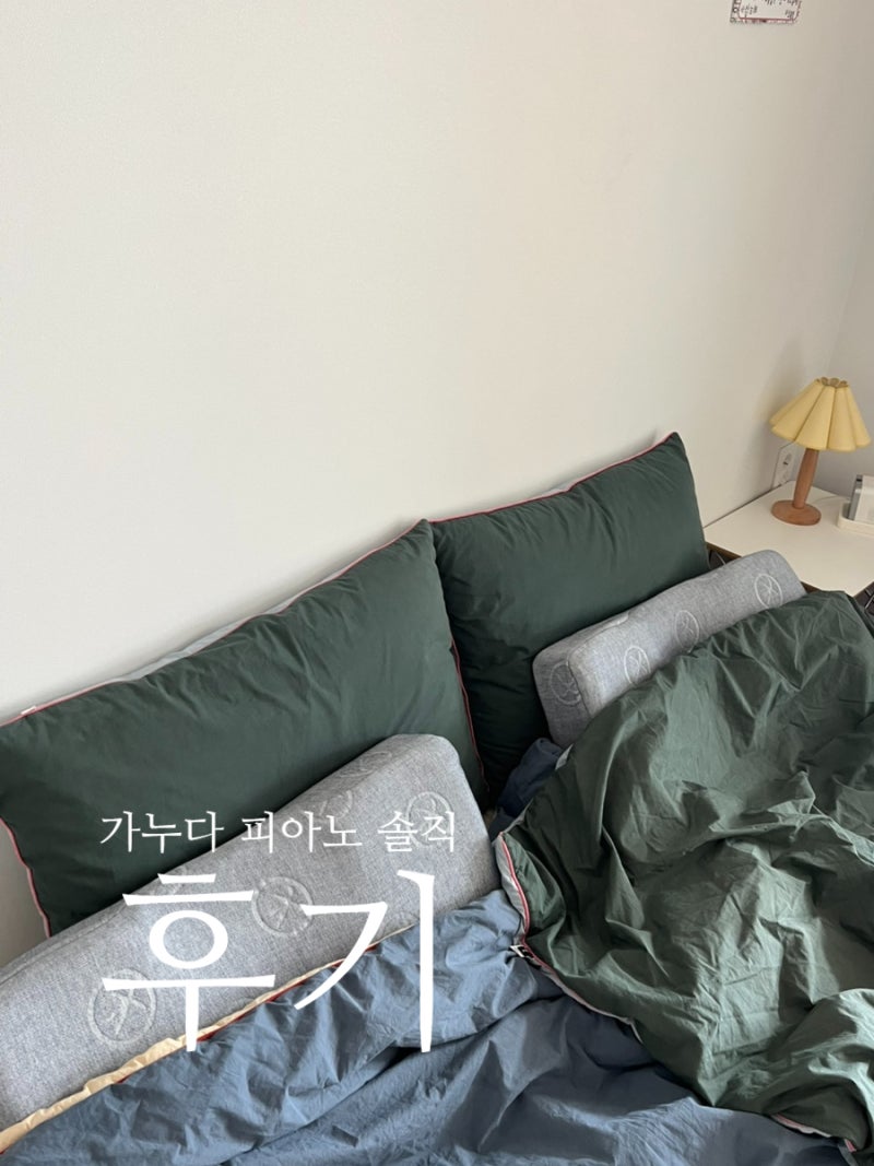 가누다 솔직 후기 '블루라벨 피아노 베개'