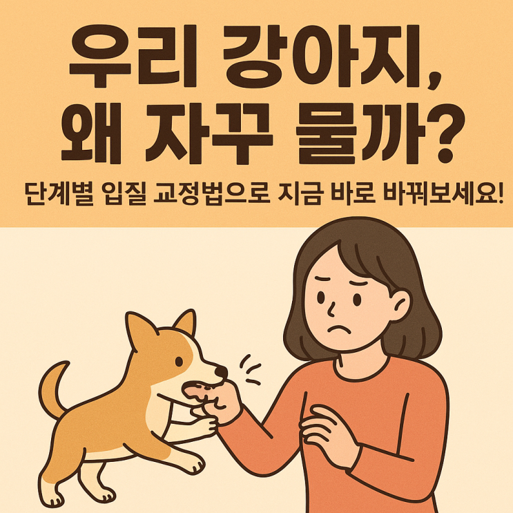  강아지 입질, 절대 혼내지 마세요! 단계별 교정법으로 확실히 바꾸는 방법 