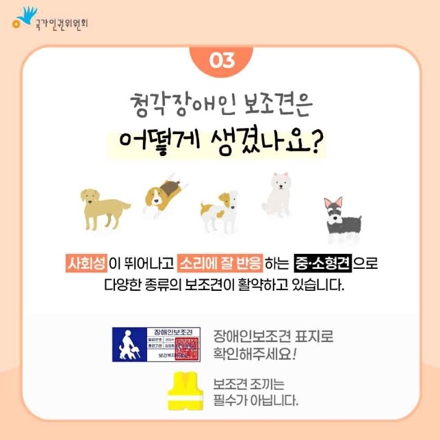 청각장애인 돕는 작은 개, 보조견입니다…식당 출입 막으면 불법
