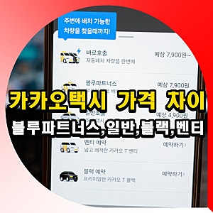 카카오택시 블루파트너스 일반 블랙 벤티 차이 요금 가격