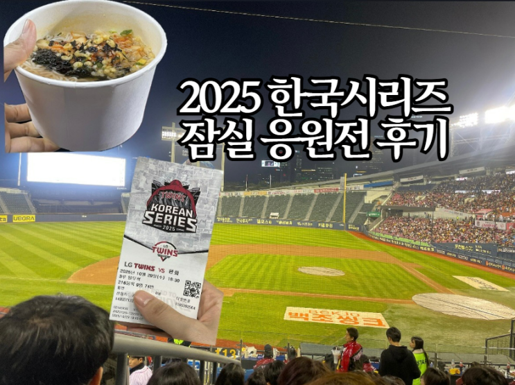  LG트윈스 원정경기 잠실 응원전 한국시리즈 3차전 후기 | 잠실 야구장 3루 블루석 216블록 시야부터 응원분위기까지