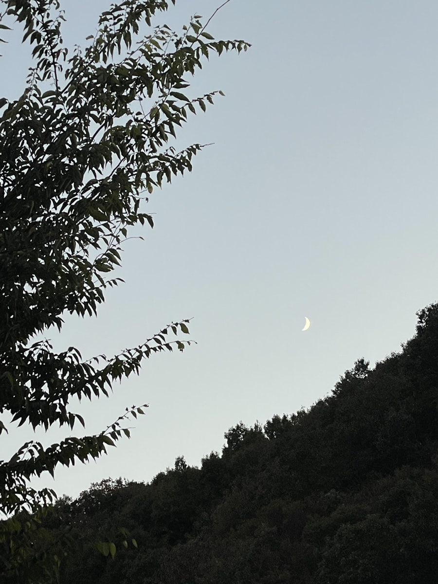 JJ오토캠핑장 사진 2