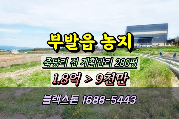  이천 부발읍 농지 경매 죽당리 토지 280평