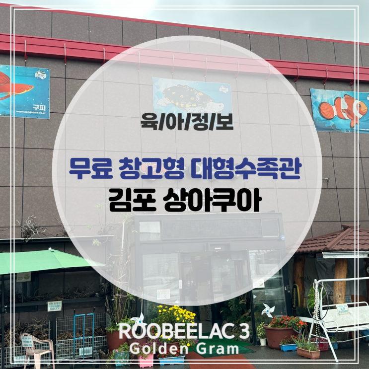  김포 상아쿠아 실내 아이와 가볼 만한 곳 창고형 무료 대형수족관 by. 덴마크 슈퍼 프리미엄 분유 루비락 3
