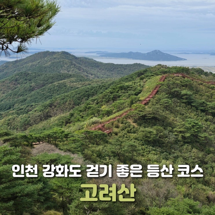  강화도 당일치기 추천 고려산 등산 코스