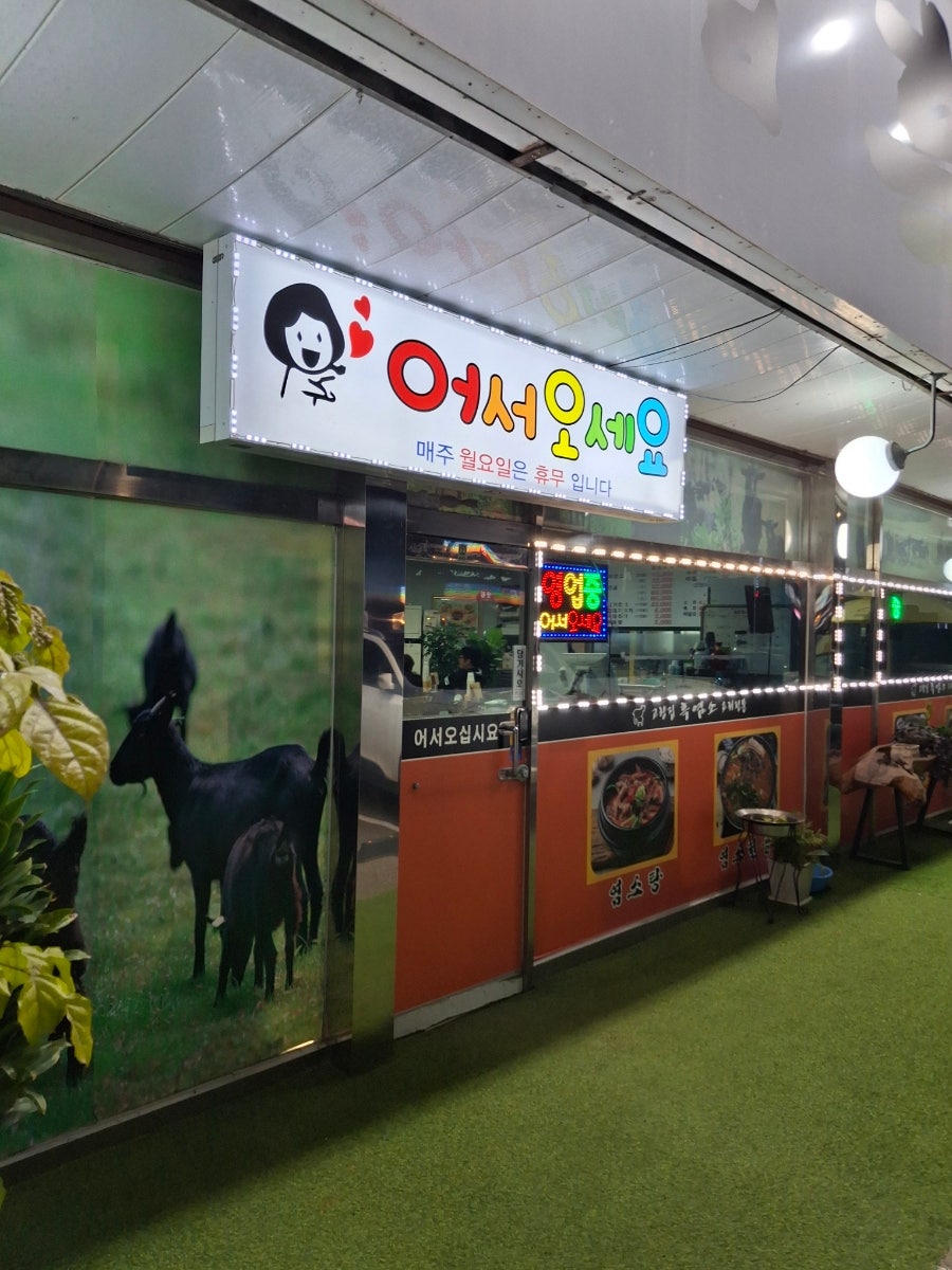 고향집흑염소 사진 3