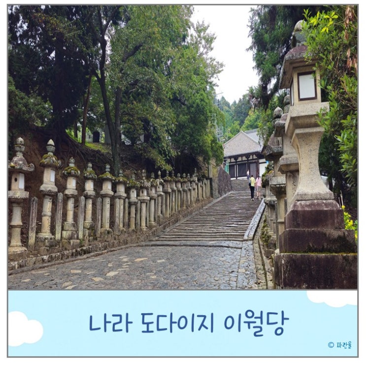  나라 숨겨진 명소 도다이지 이월당 오사카 근교 당일치기 여행