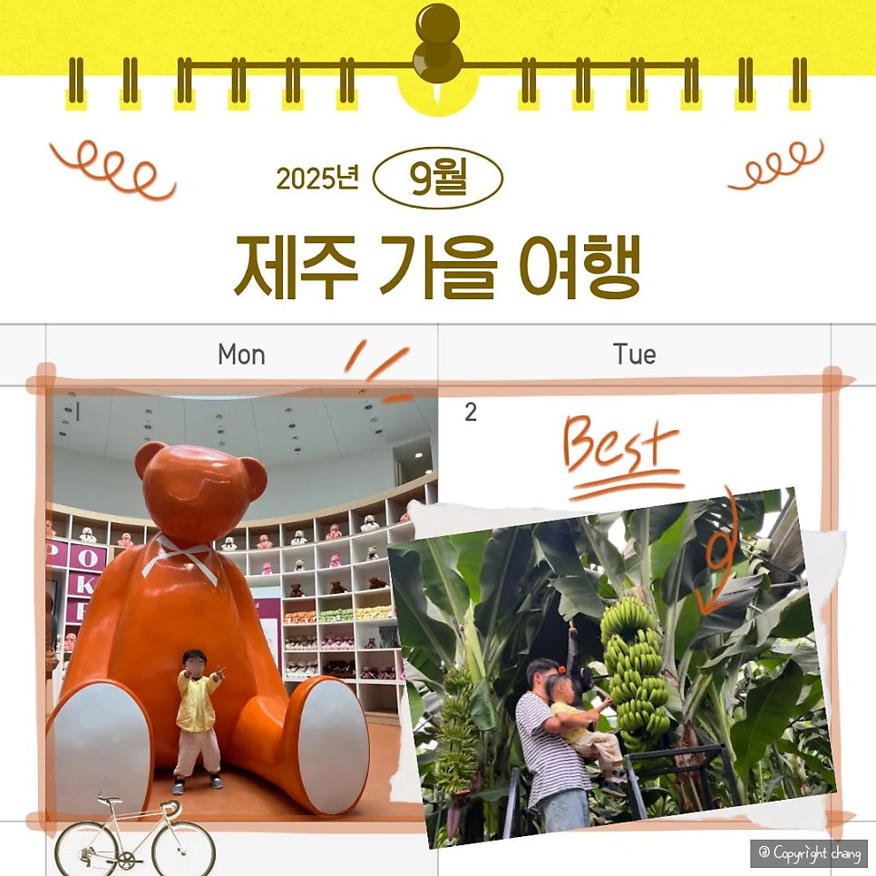 테디베어뮤지엄 제주점 사진 1