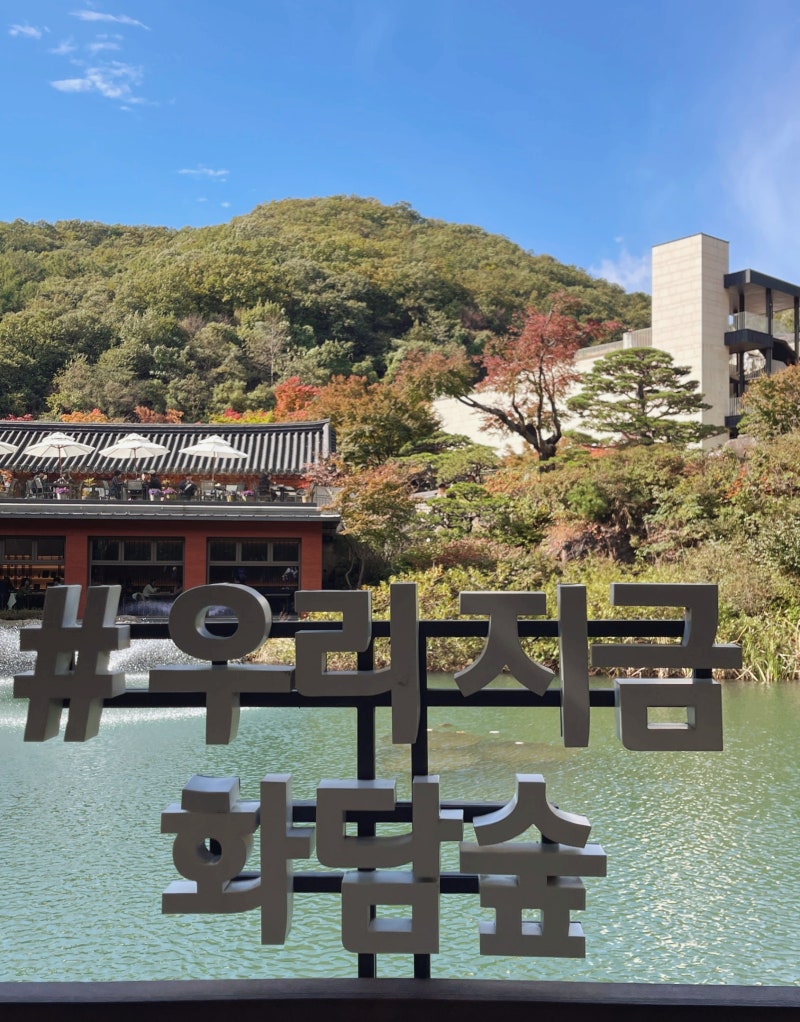 [곤지암 화담숲 2025년] 단풍시기 실시간 단풍 평일 방문후기 스탬프투어 상세후기