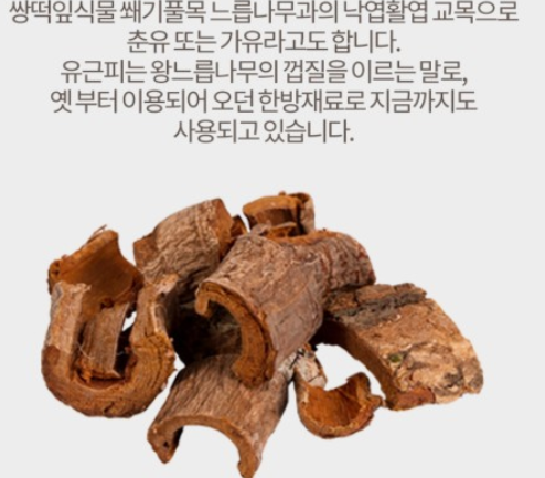 “20일 만에 코가 뻥! 비염·축농증 끝내는 느릅나무껍질 특효약”
