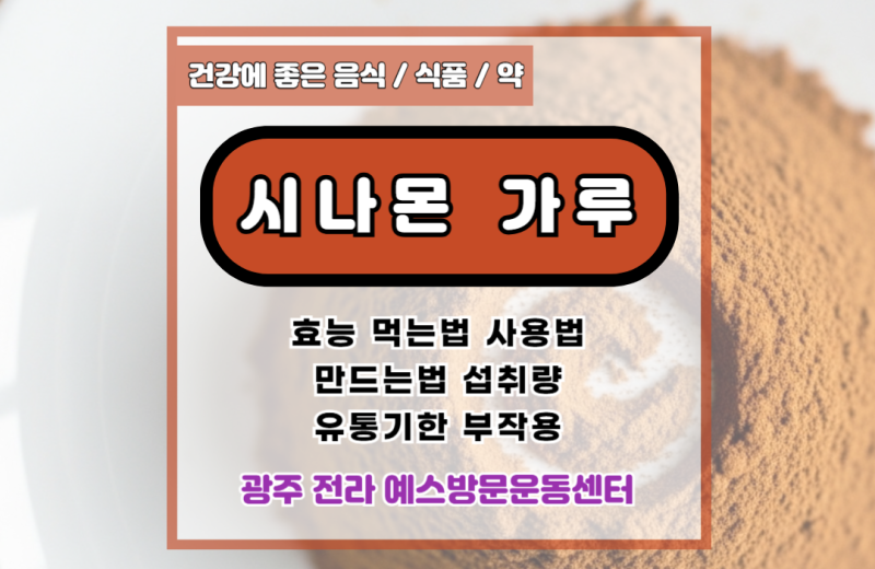 시나몬 가루 분말 효능 먹는법 사용법 만드는법 섭취량 유통기한 부작용