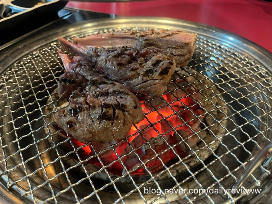 양선생 사진 2