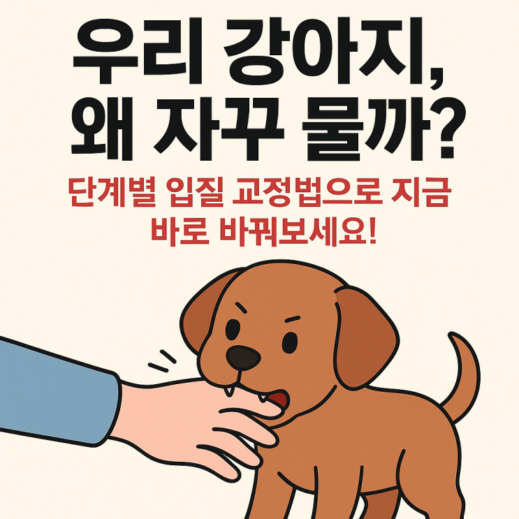  우리 강아지, 왜 자꾸 물까? 무는 습관 단계별 교정법 완전정리