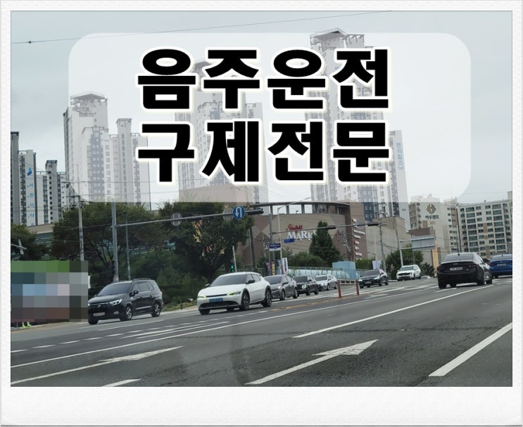  고양음주운전행정사 주로 하는 업무