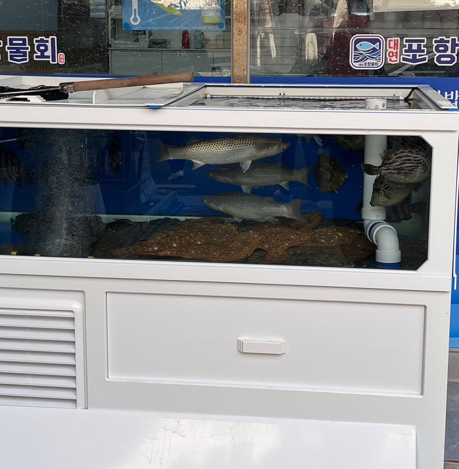 대연포항물회 사진 2
