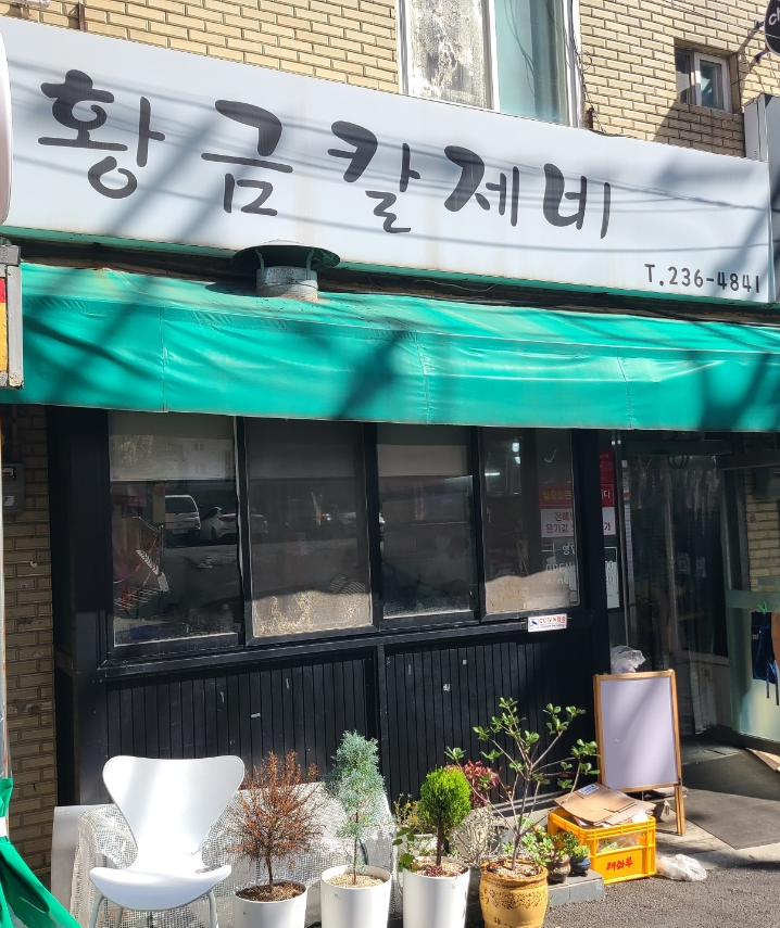 황금칼제비 사진 1