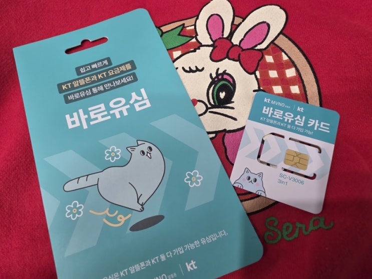  편의점 KT 바로유심 선불폰 개통 방법 대리점 없이 3분컷
