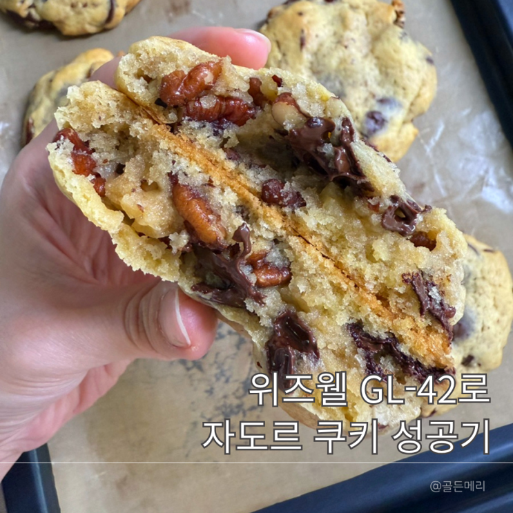  초보 오븐 추천 위즈웰 컨벡션 오븐 GL-42로 자도르 초코칩쿠키 만들기