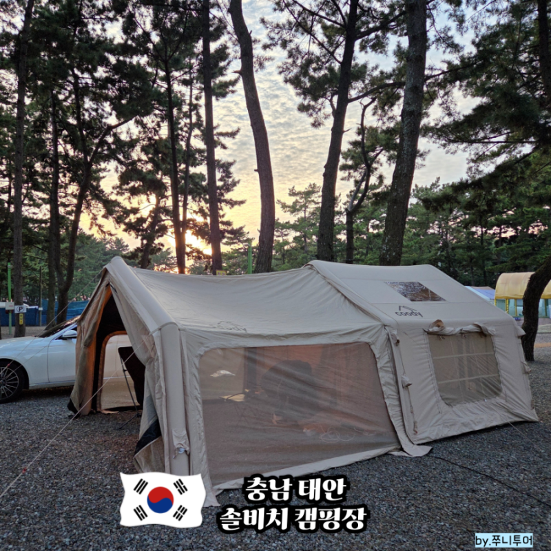 태안 캠핑장 추천 몽산포해수욕장 솔비치 캠핑장 후기(해루질 가능)