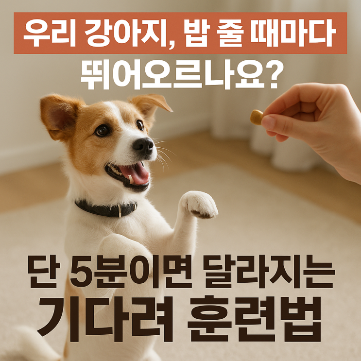  강아지 ‘기다려’ 훈련, 하루 5분이면 완성!  집중력과 참을성 키우는 법
