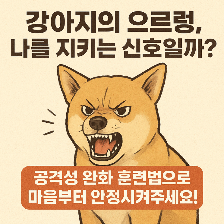  우리 강아지, 왜 이렇게 공격적일까? 공격성 완화 훈련법 완전정리