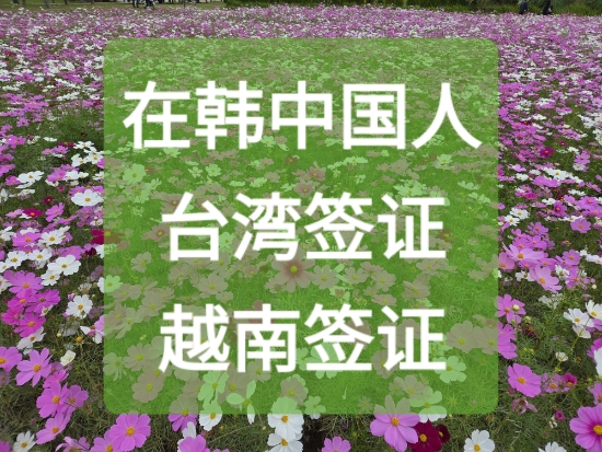  중국인 대만비자, 베트남 비자 발급 사례