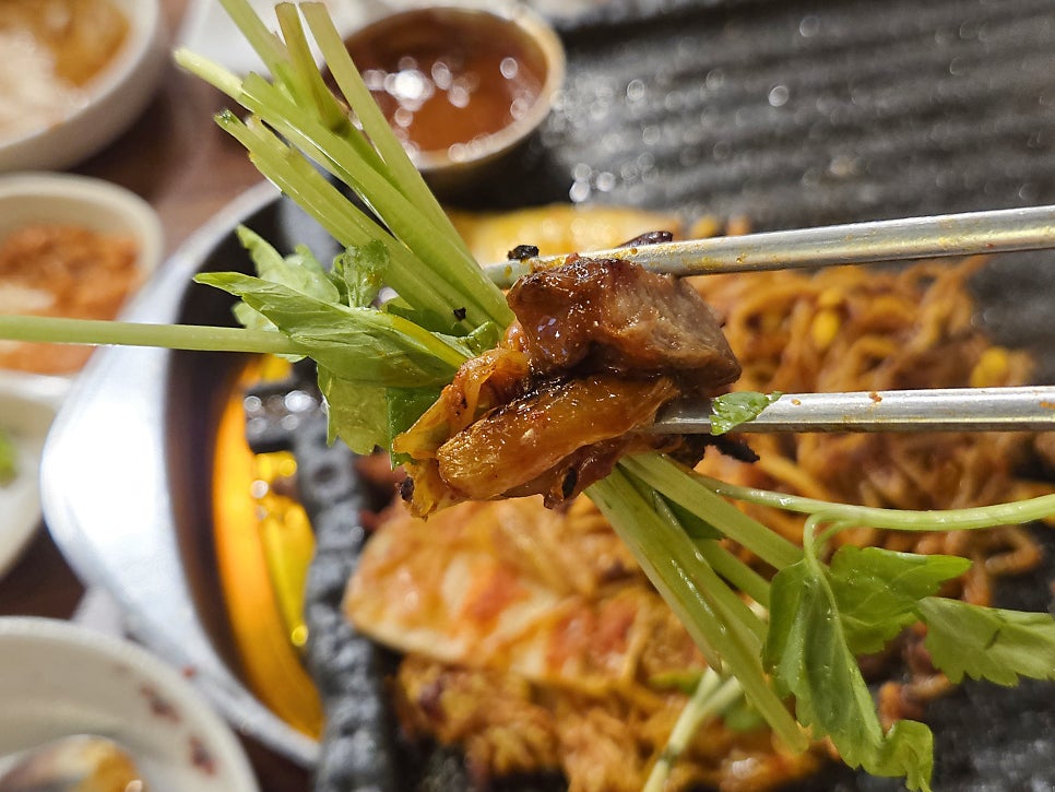 통통돼지 사진 1