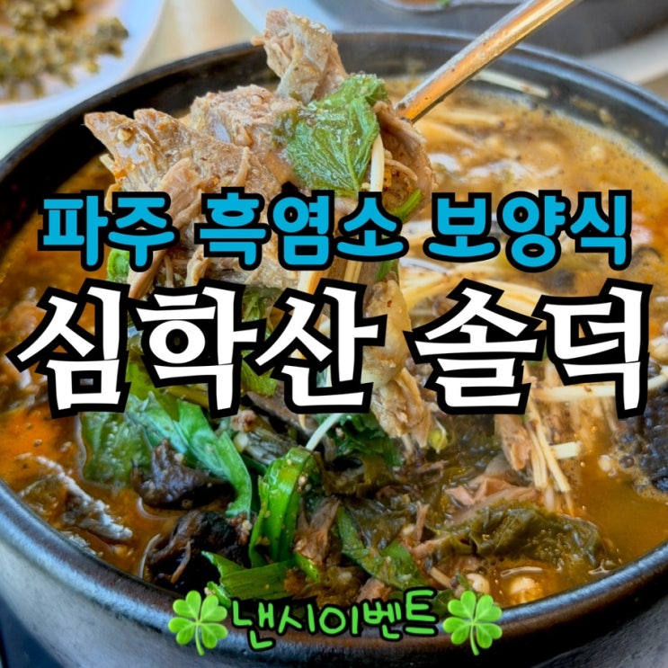  파주 보양식 맛집 심학산 솔덕 | 흑염소탕·흑염소 제육·바질삼계탕 할인 꿀팁