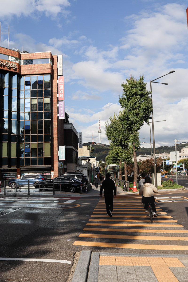 사진 11