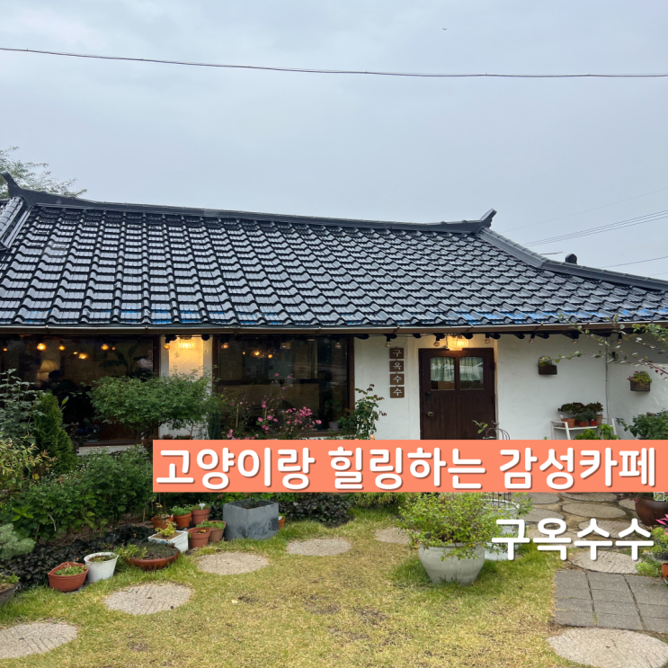  고양이 있는 영종도 나만 알고 싶은 카페 구옥수수