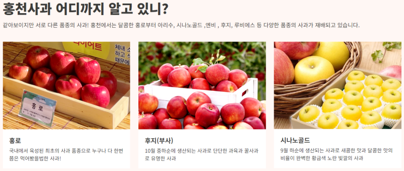 2025 홍천 사과축제 일정 라인업 기본정보