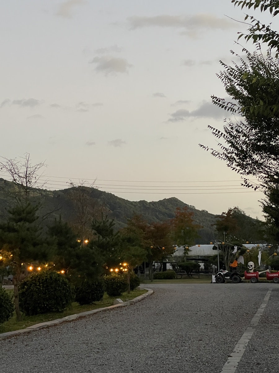 JJ오토캠핑장 사진 3