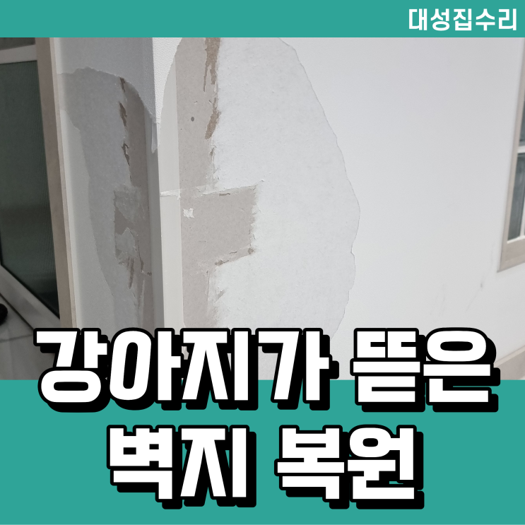  강아지가 뜯은 벽지 보수 복원
