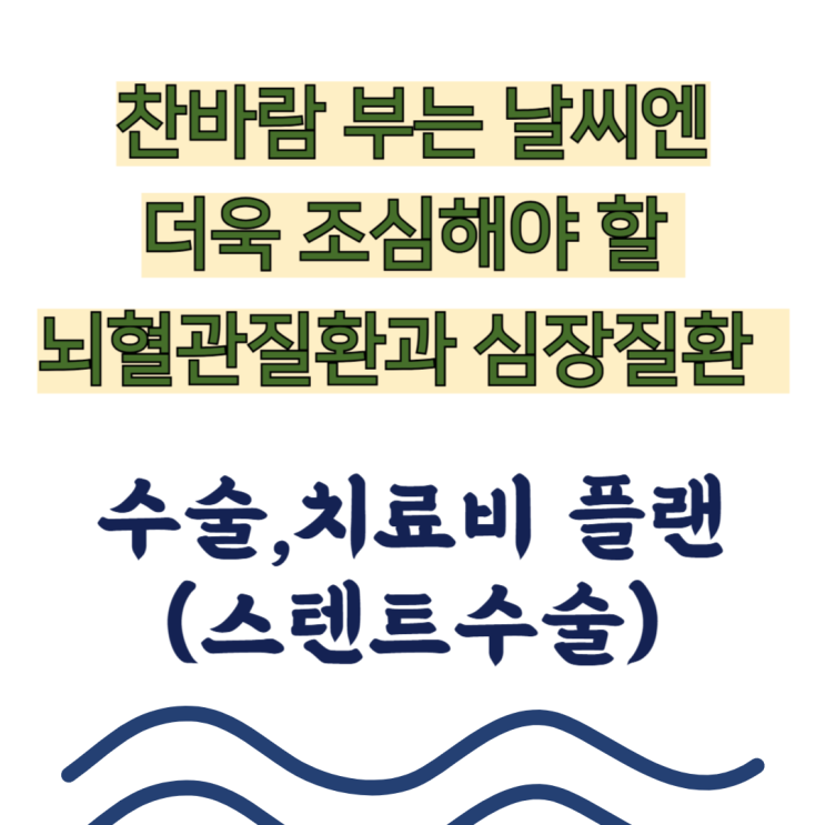   찬바람 불때 더욱 조심! 뇌혈관/심장질환 치료비! 스텐트 삽입술!